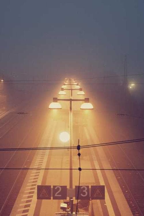Chris Trenfield