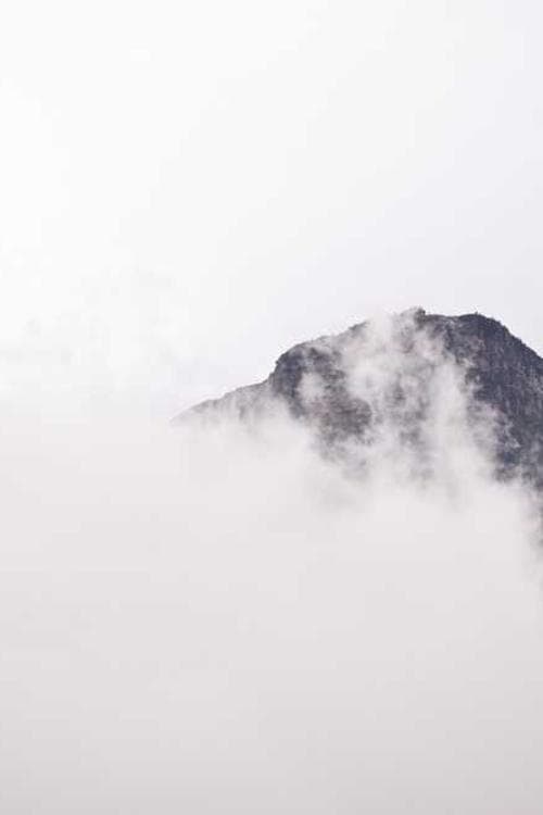 Yang Zhehao