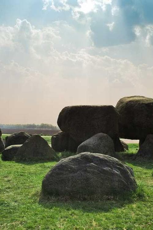 Achref Adhadhi