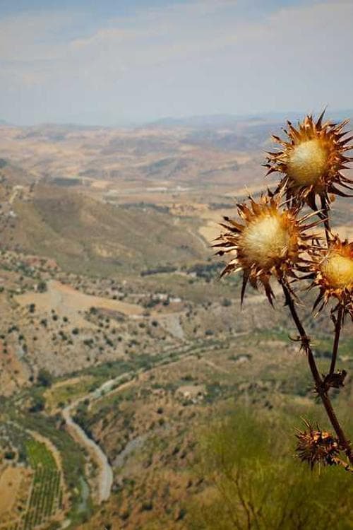 Ardavan Mofid