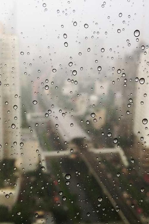 Storm Exner Fjæstad