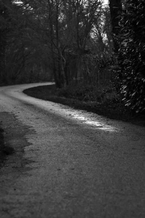 Margot Ladroue
