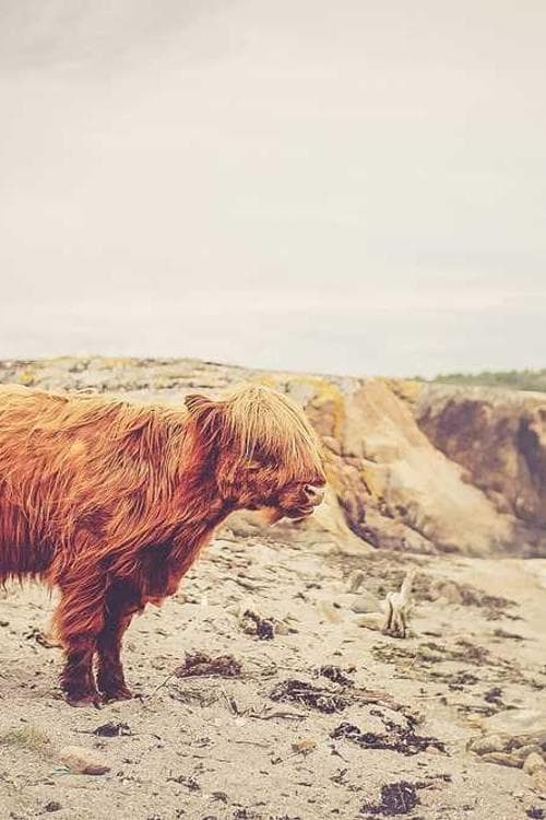 Philip Coo