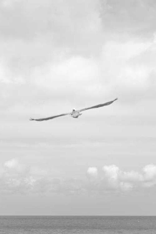 Claire Marin
