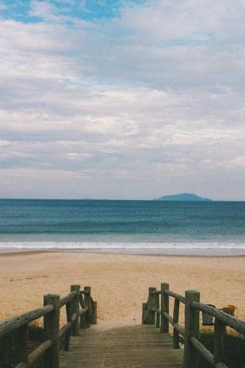 杨钧钧