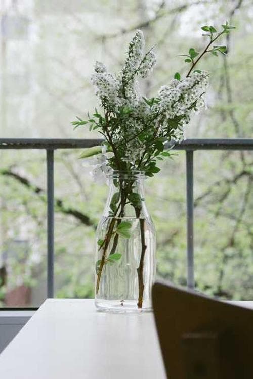 Anne Marie Chiasson