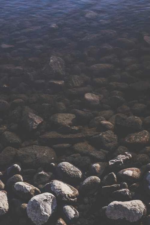 Aare Põder