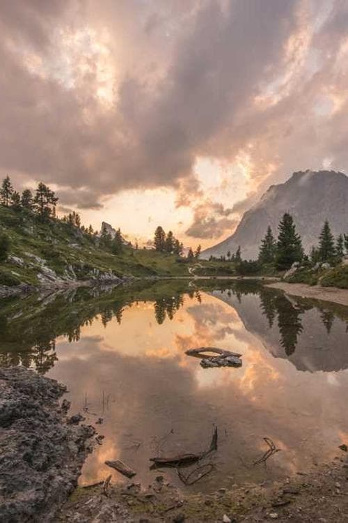 Steve Mayer