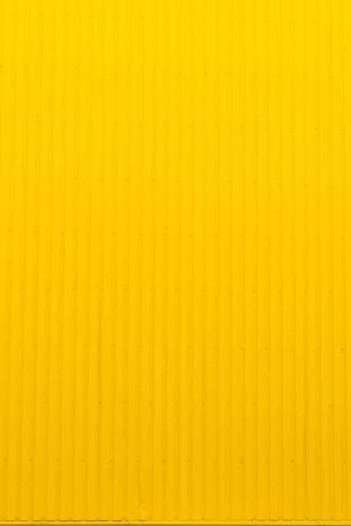 Mark Bellhorn