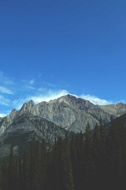Zella Day