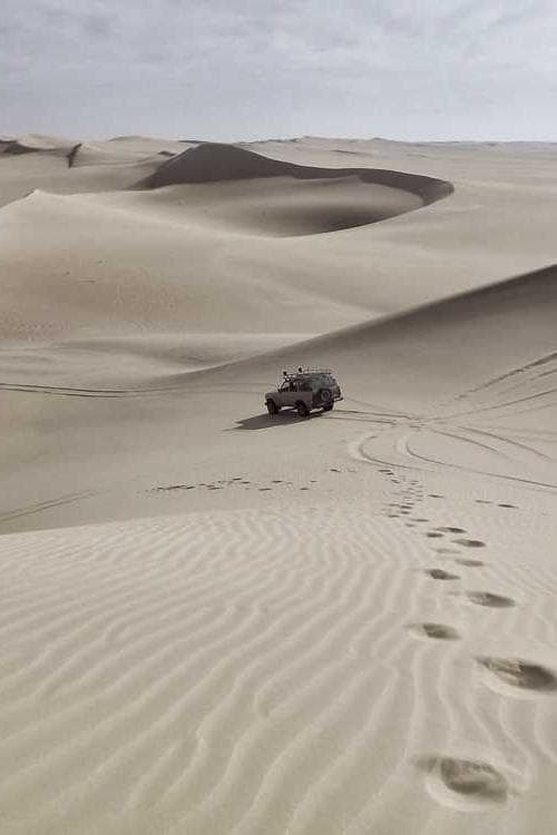 Manoochehr Zhian