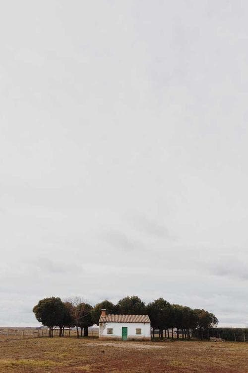 Fabian Hedlund