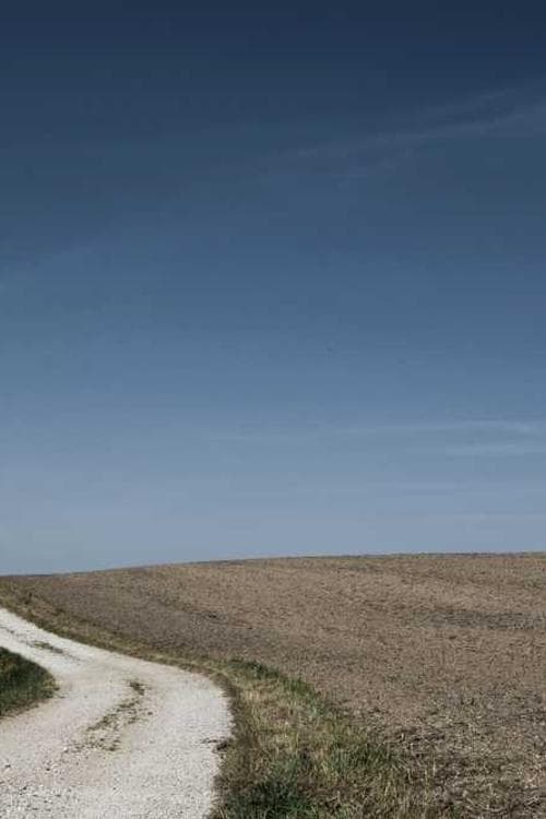 Luca Planchenault