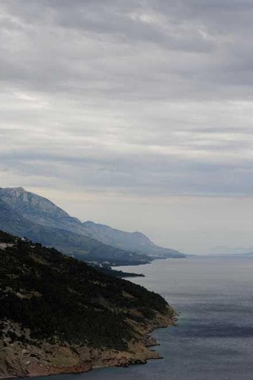 Παναγιώτης Κανιάμος