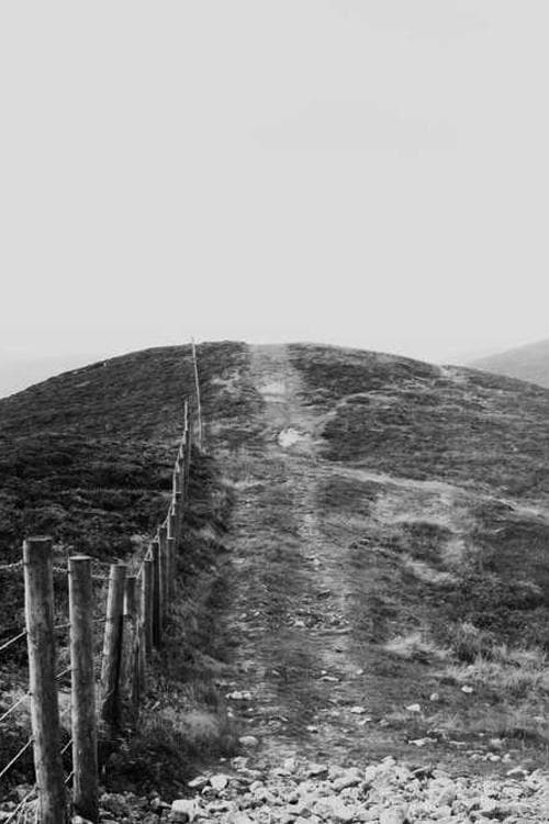 Andy Scullin
