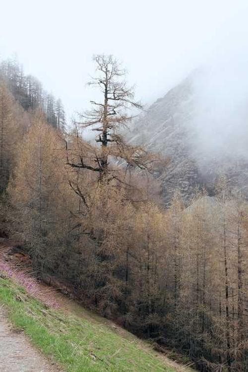 Vilen Sargsyan