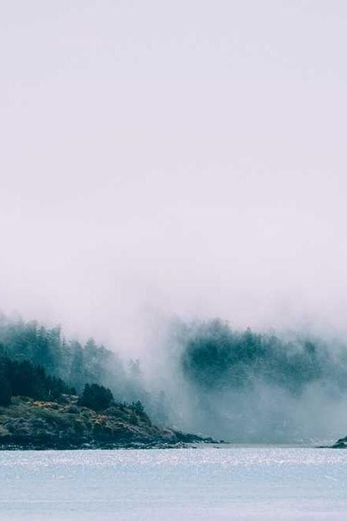 Michelle Bergh