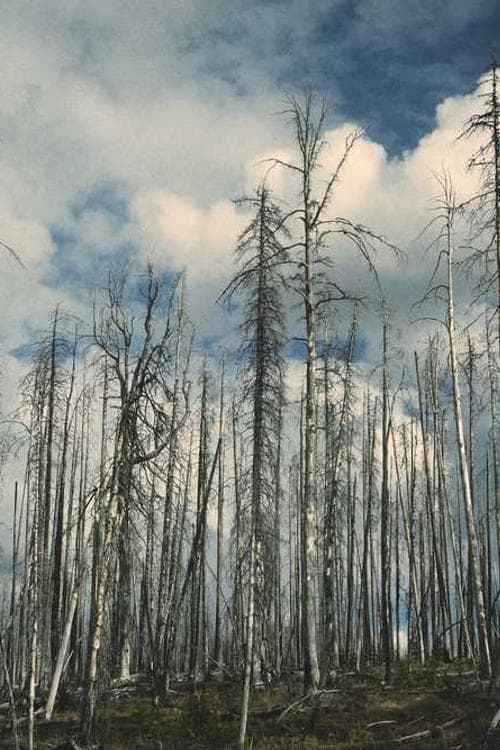 Ken Hixon