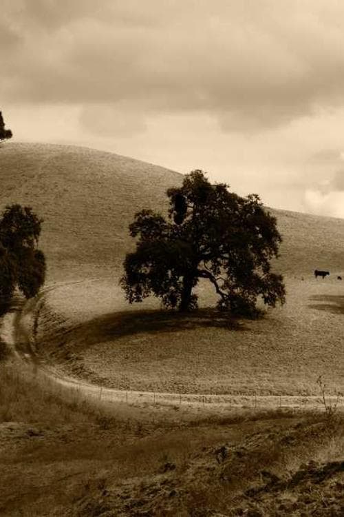 Jason R. Lone Hill