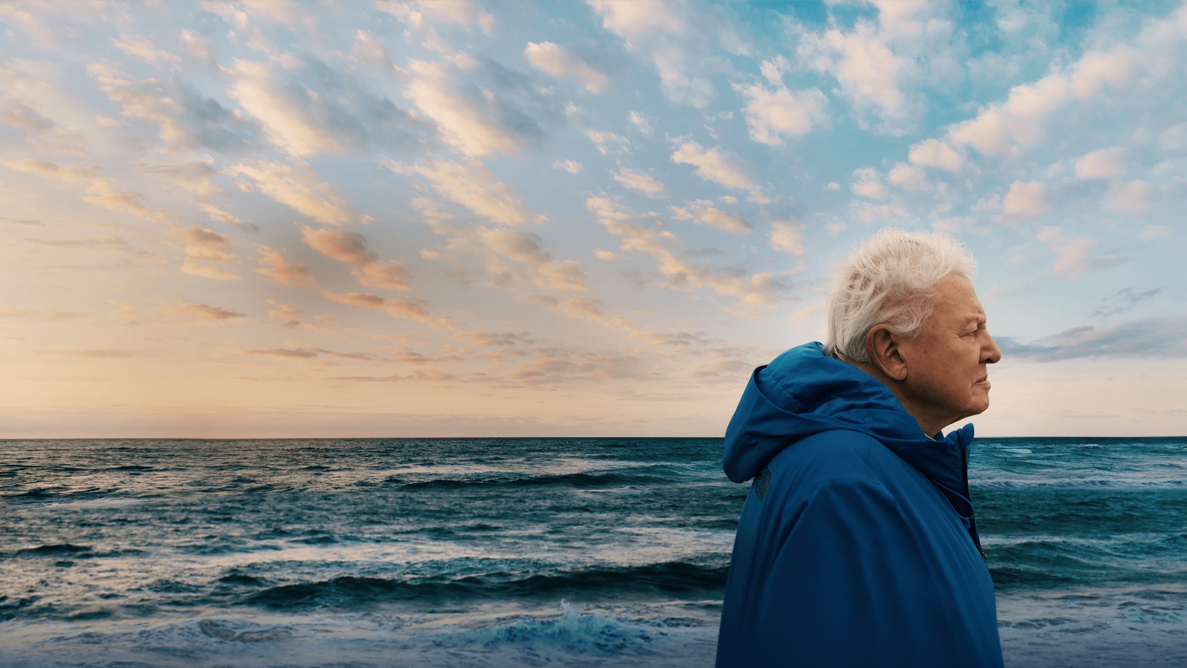 Backdrop for Ocean with David Attenborough