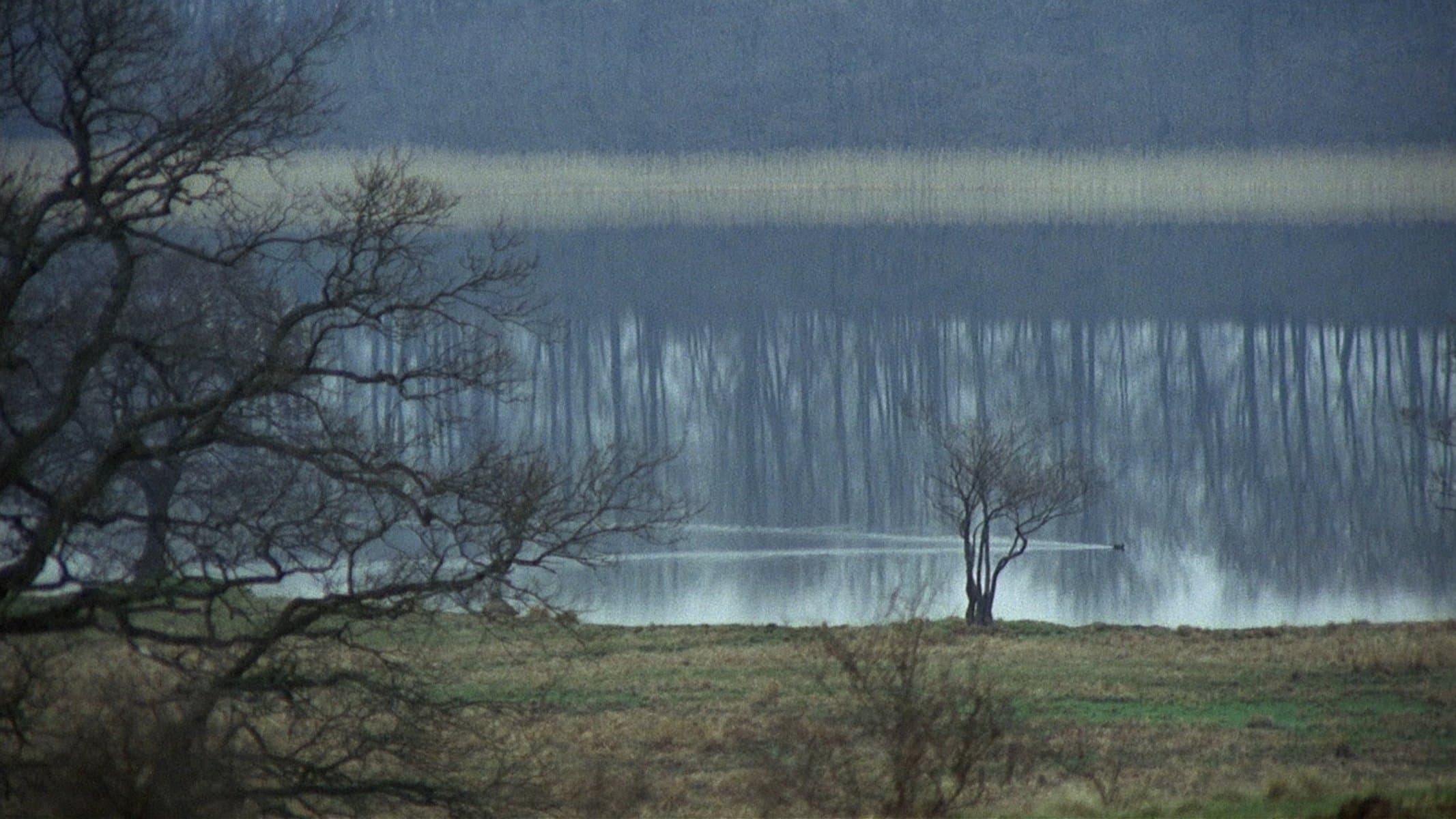 Backdrop for Nybyggarna