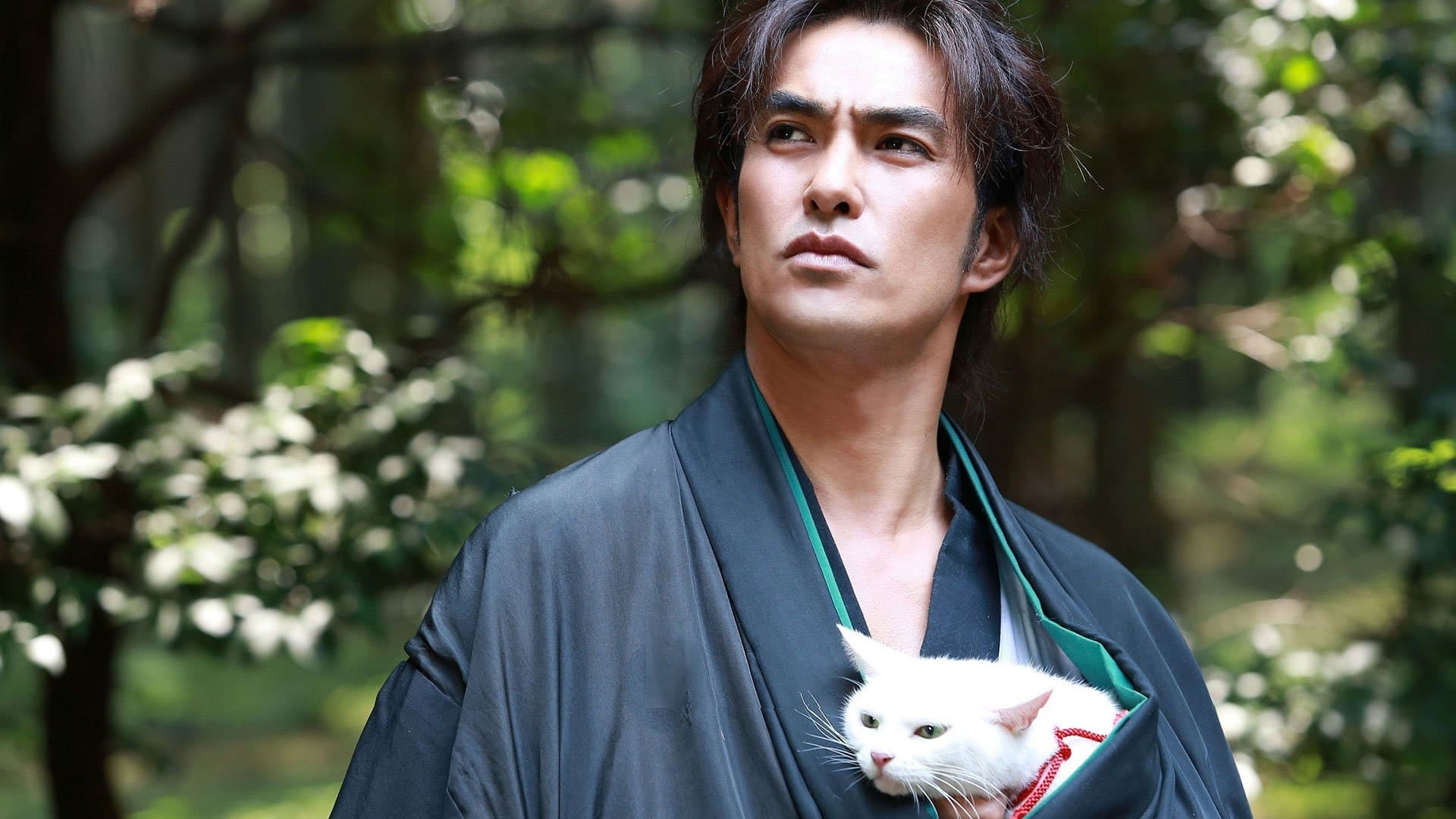 Backdrop for 猫侍