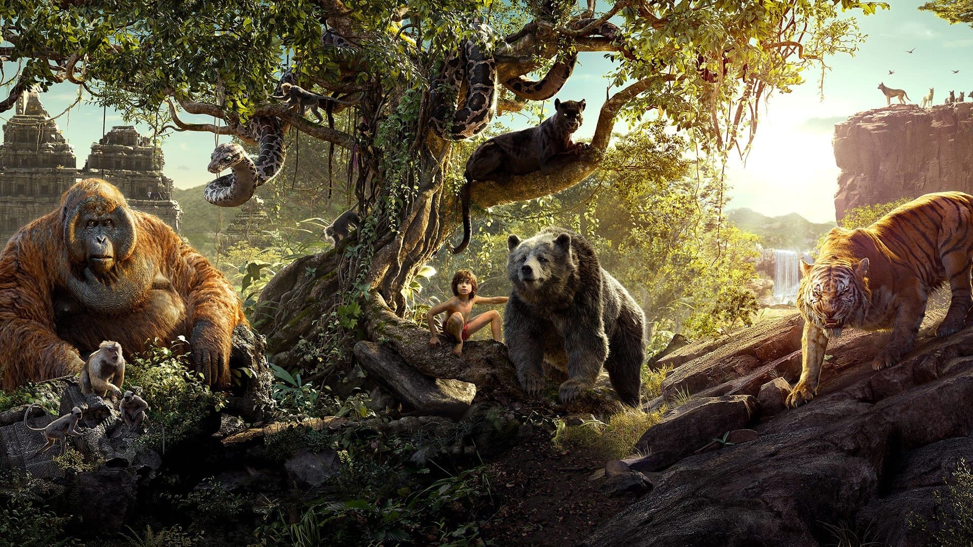 Backdrop for The Jungle Book
