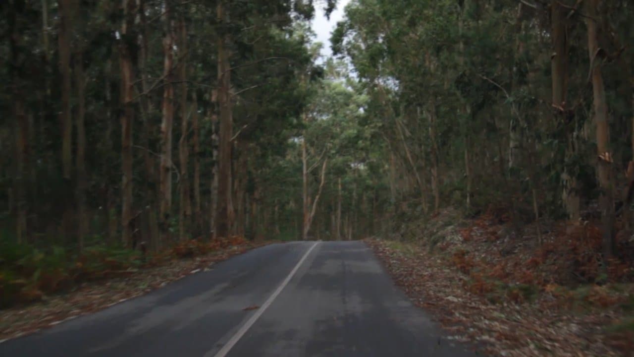 Backdrop for Llacunes