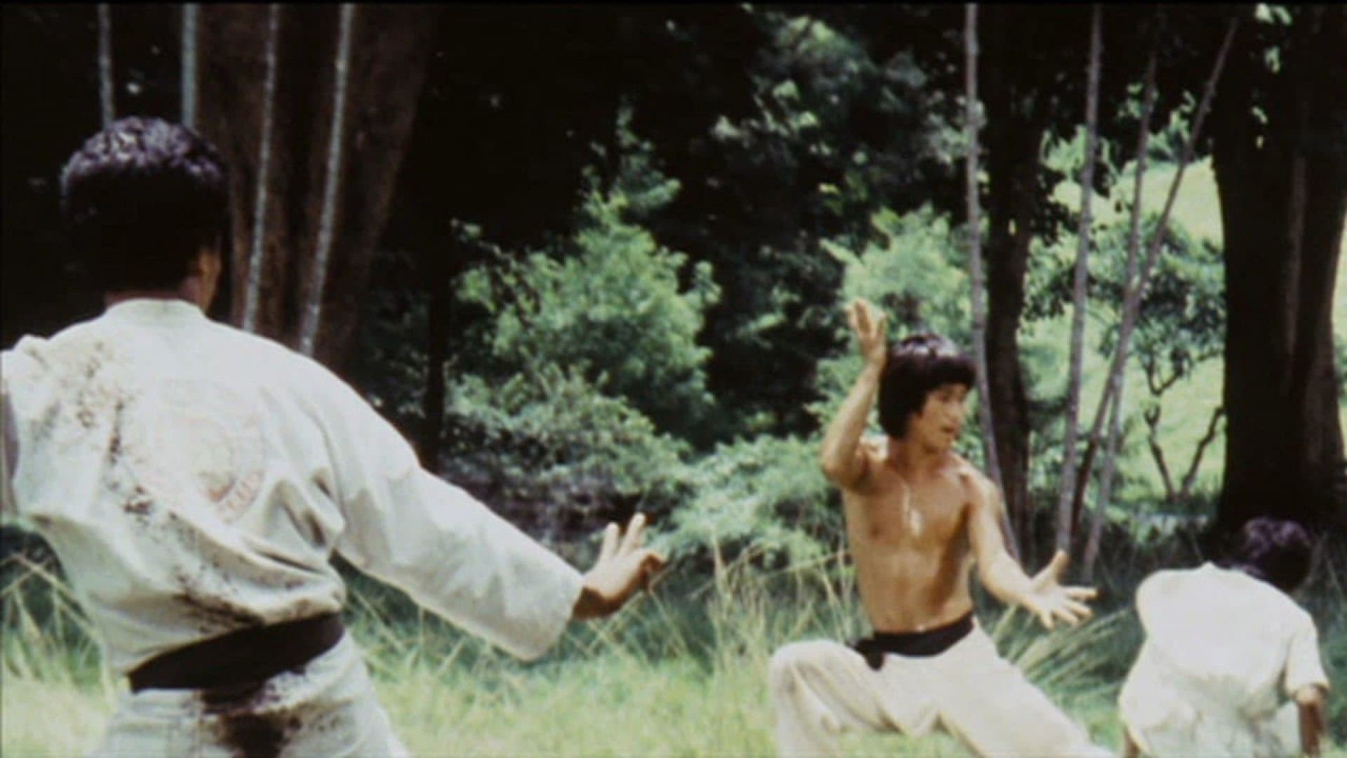 Backdrop for 龍拳秘功