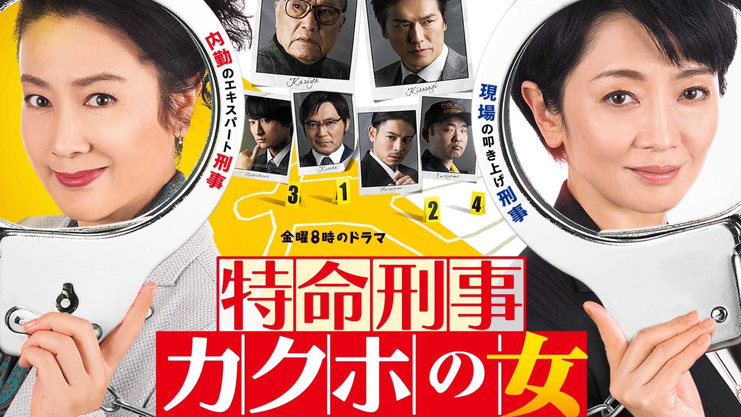 Backdrop for 特命刑事 カクホの女
