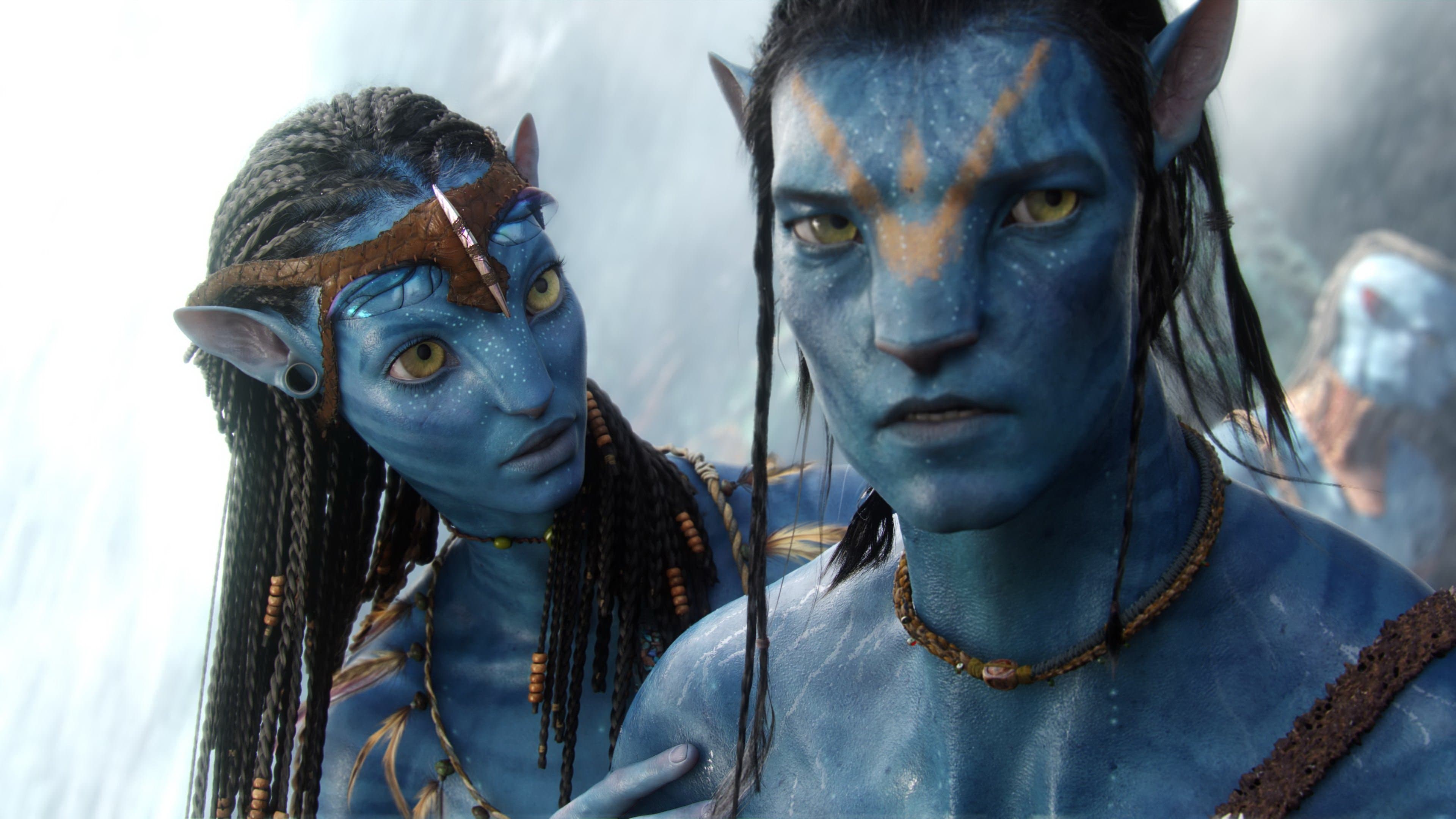 Backdrop for Capturing Avatar
