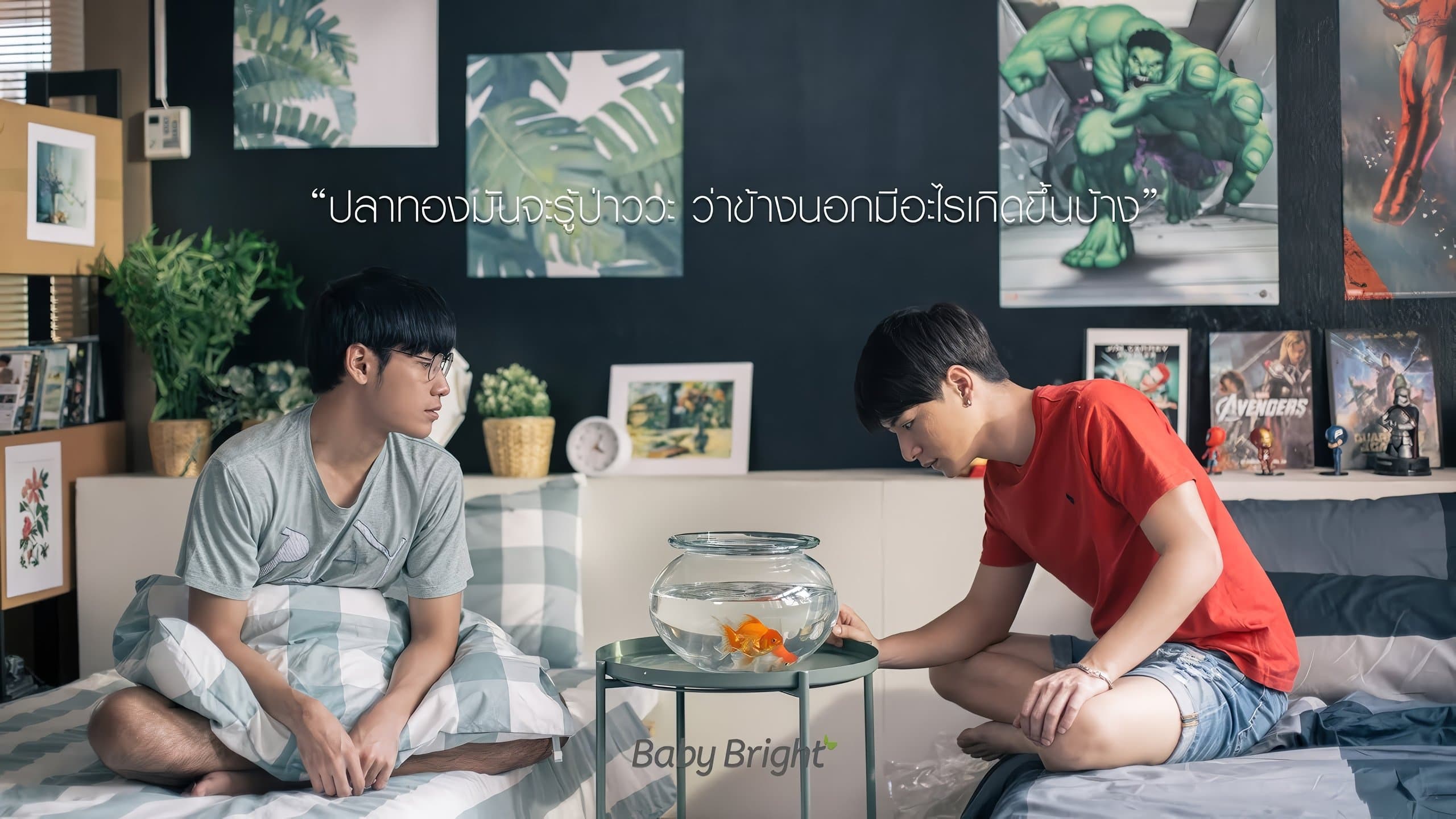 Achtergrond voor เพื่อนตายตลอดไป