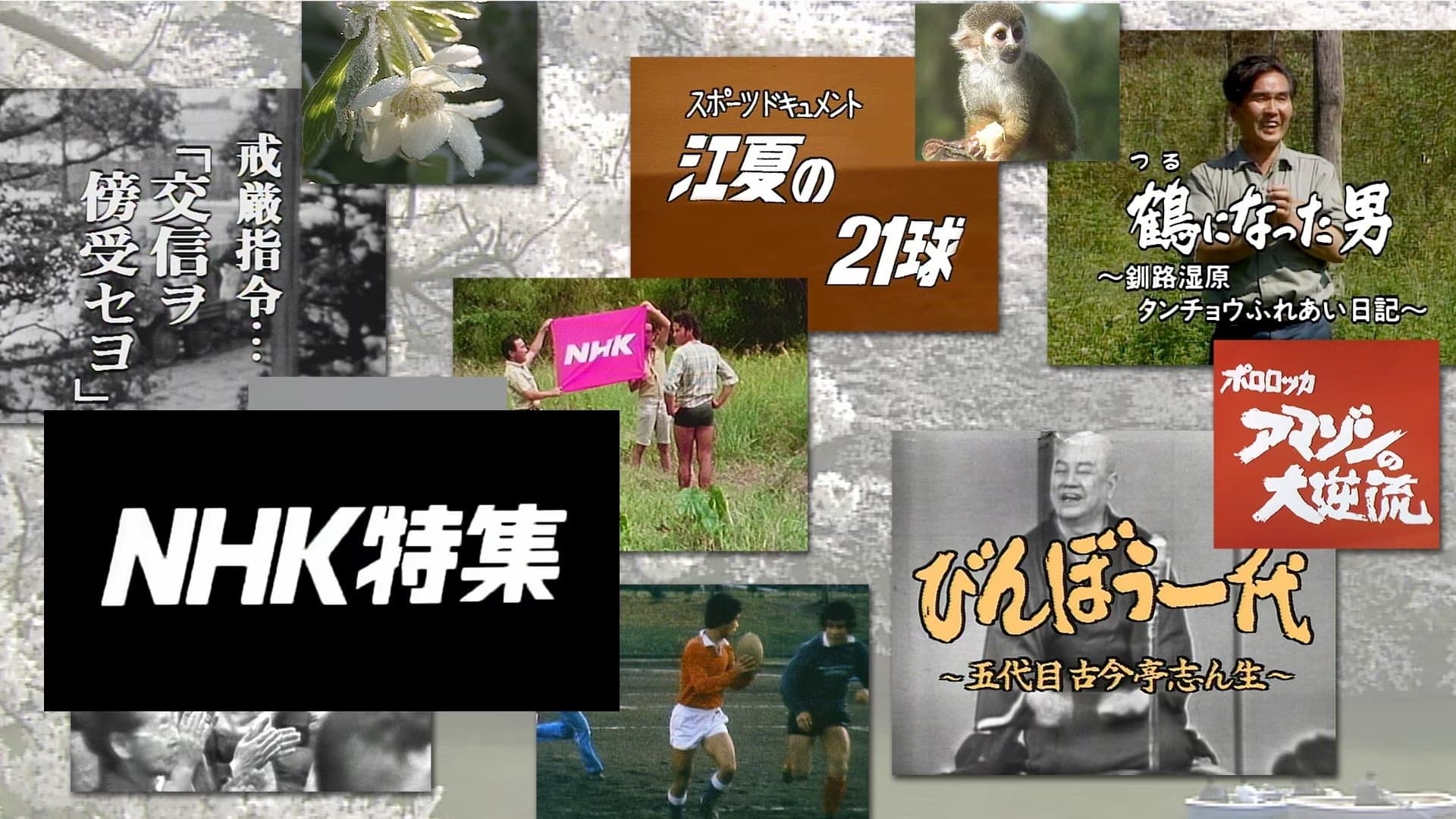 Backdrop for NHK特集