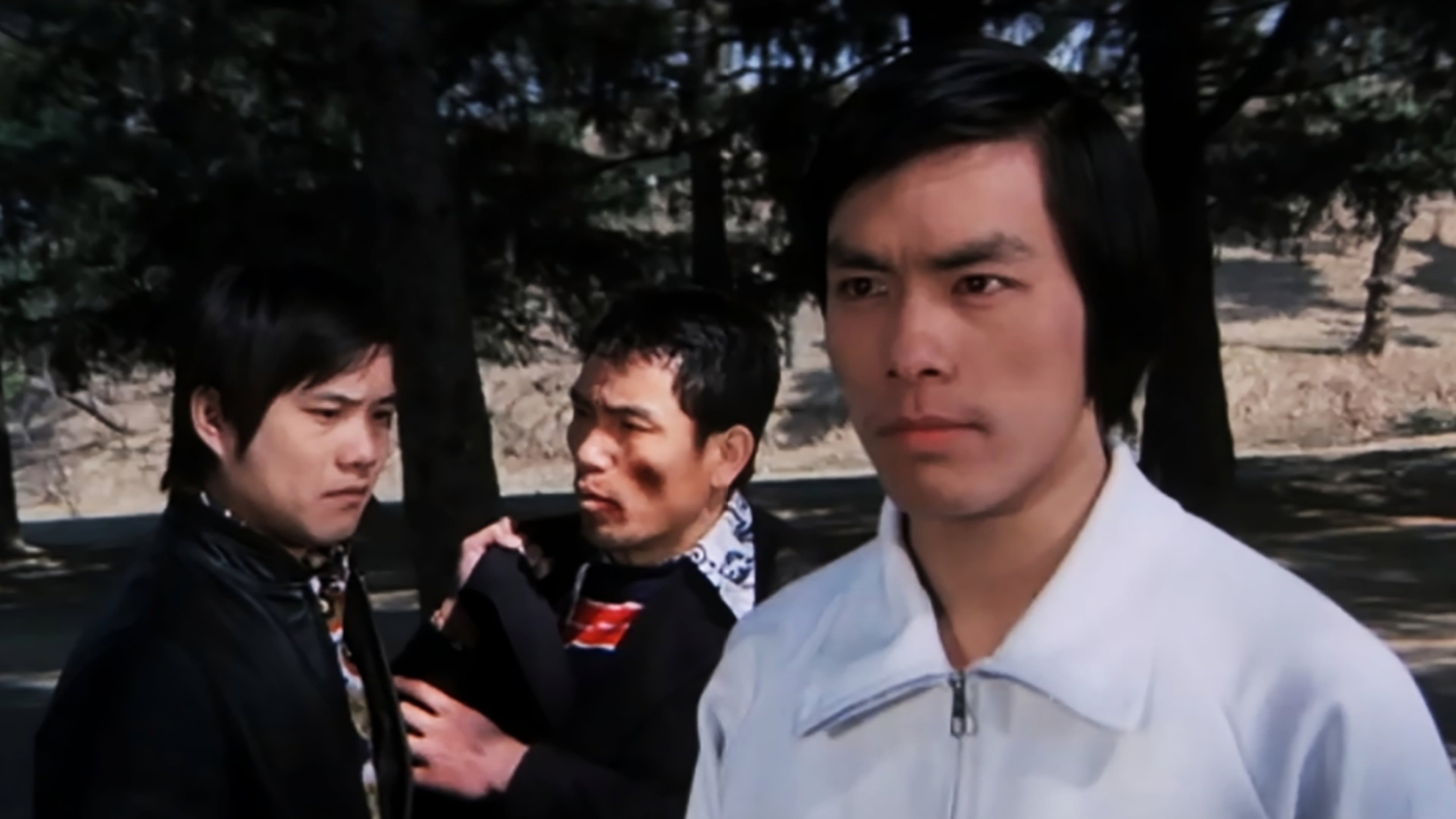 Backdrop for 女子跆拳群英會