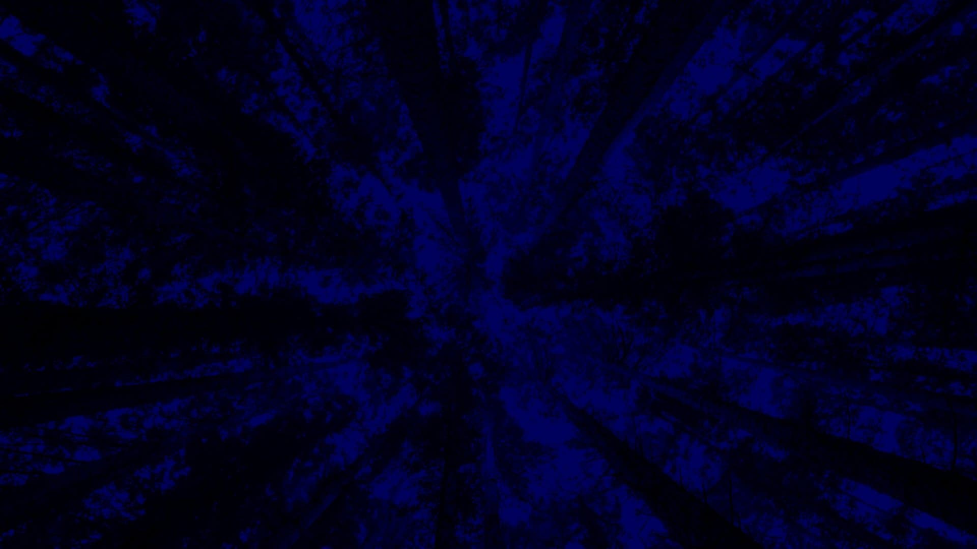 Backdrop for New York City Opera: A Little Night Music