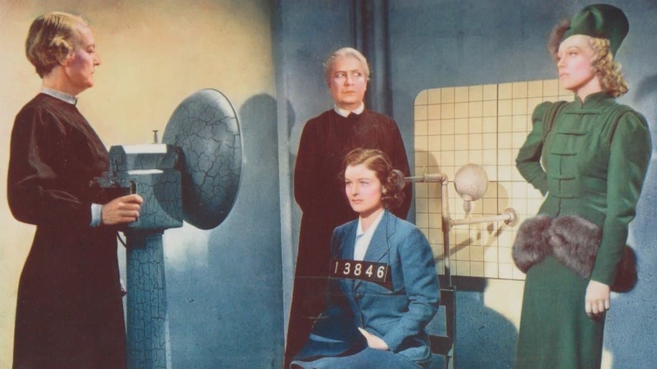 Backdrop for Within the Law