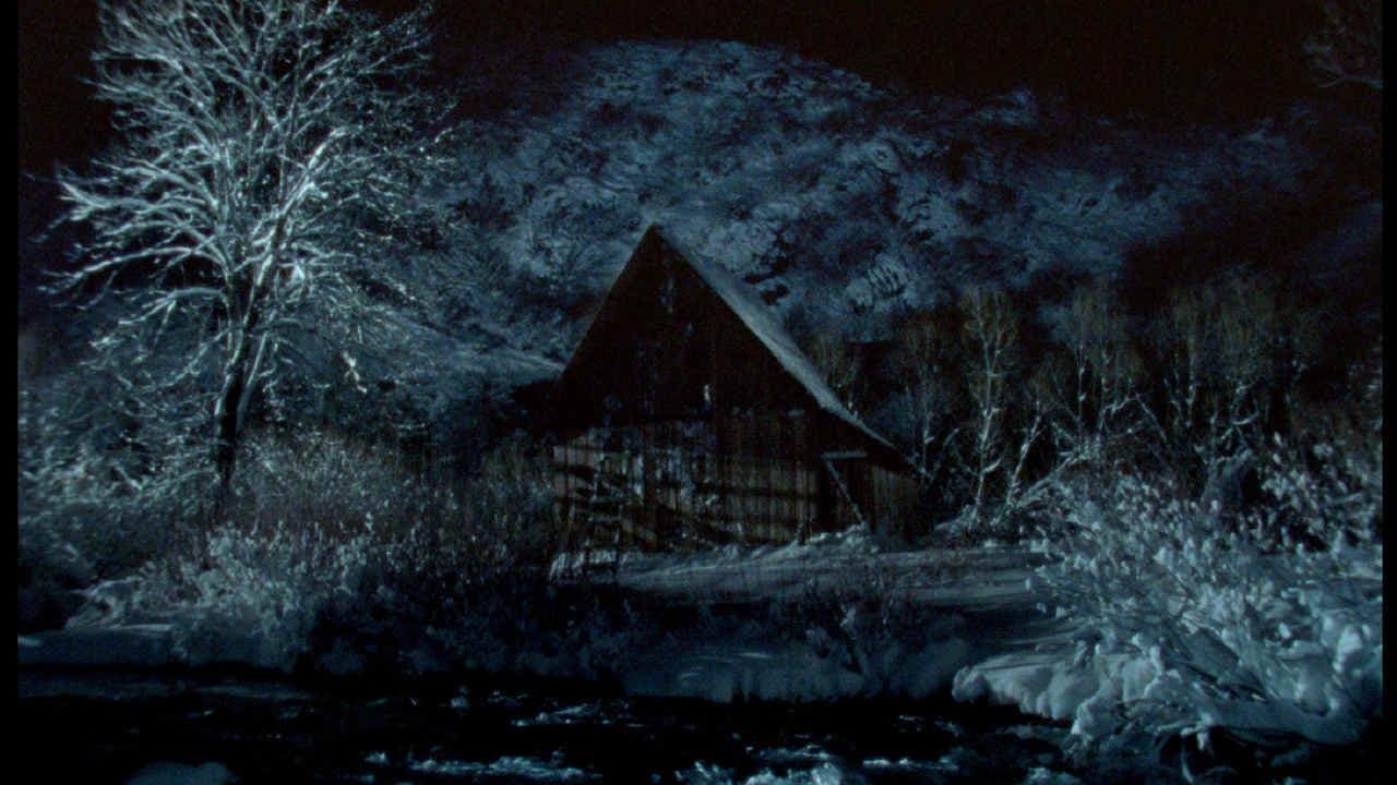 Backdrop for Drvo