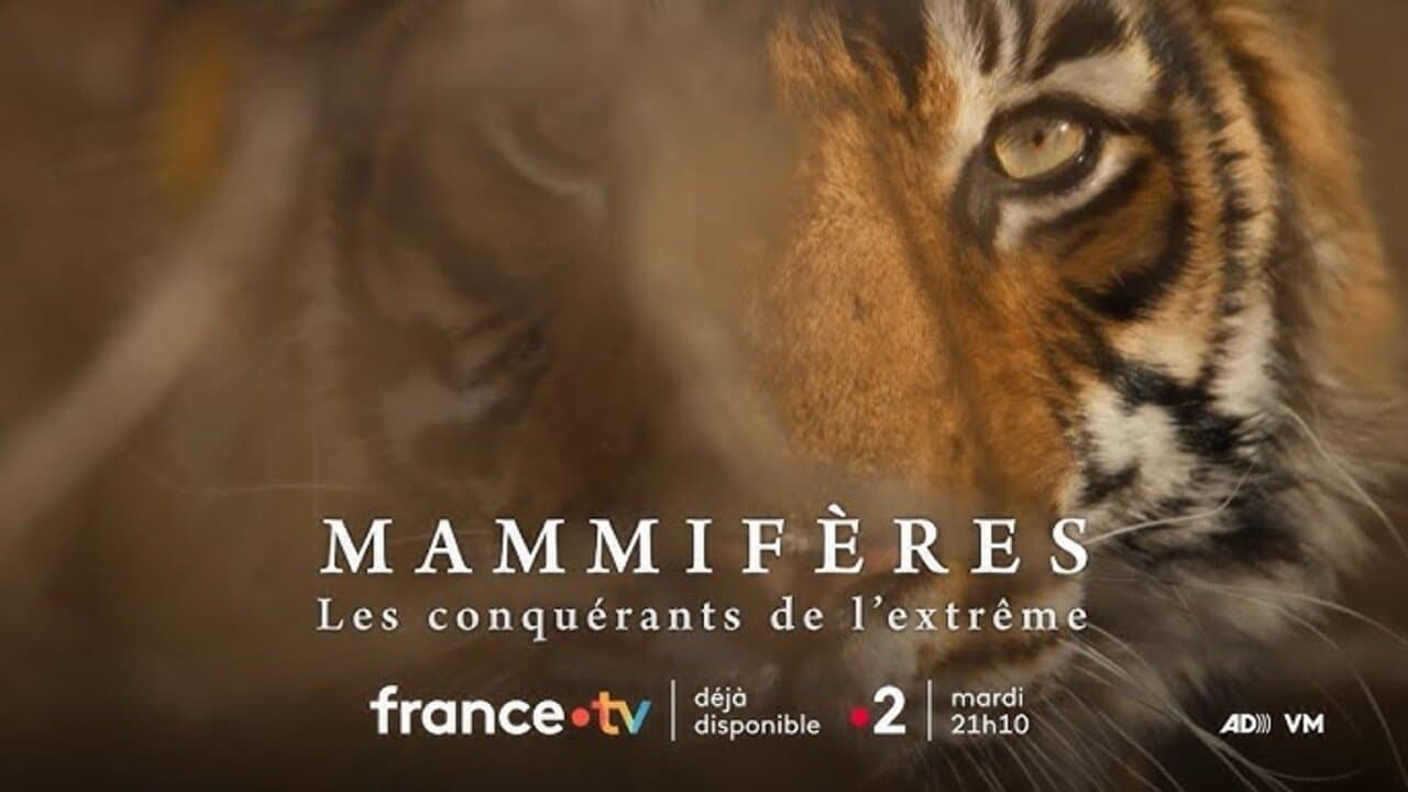 Backdrop for Mammifères, les conquérants de l'extrême