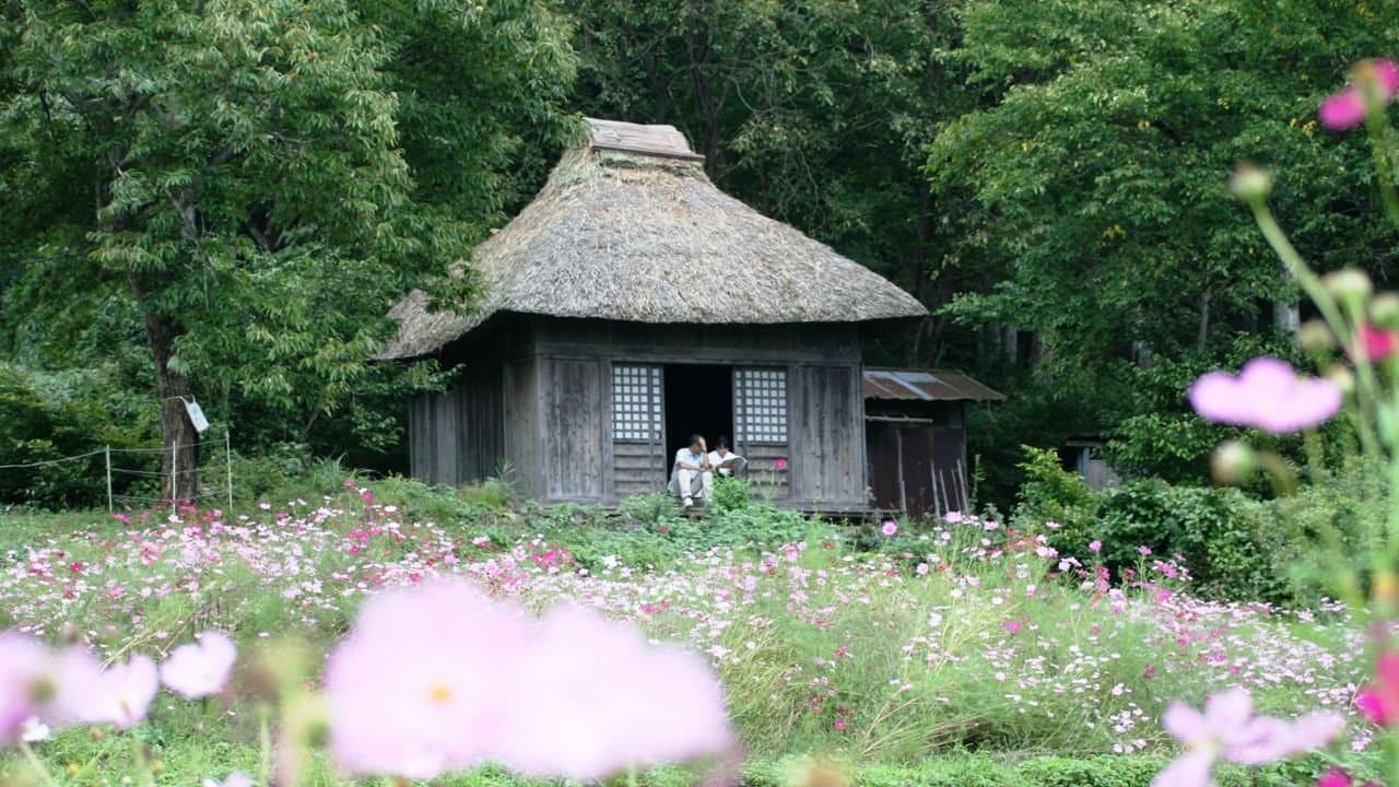 Backdrop for 阿弥陀堂だより