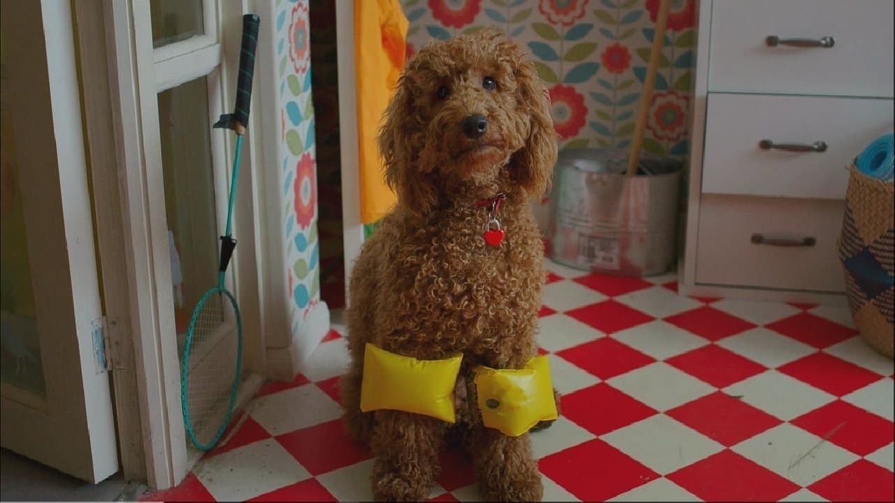 Backdrop for Waffle the Wonder Dog