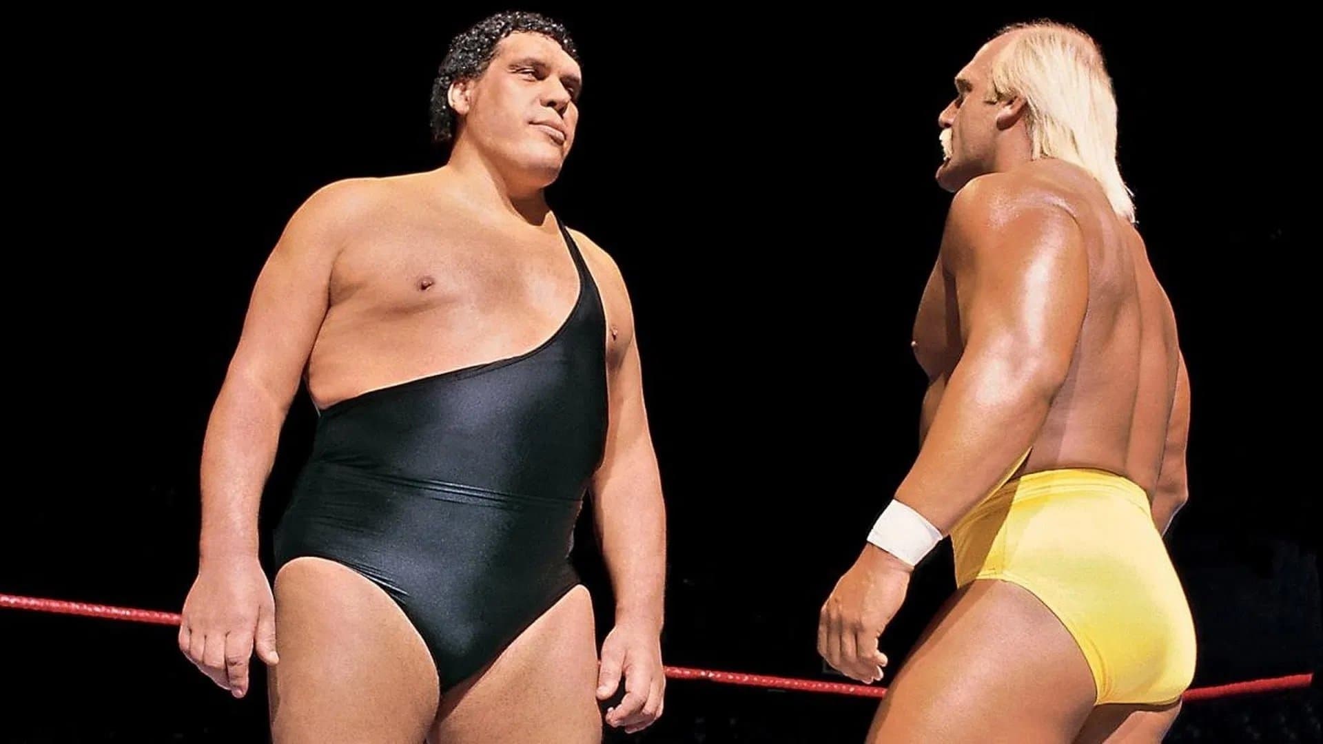 Backdrop for WrestleMania III
