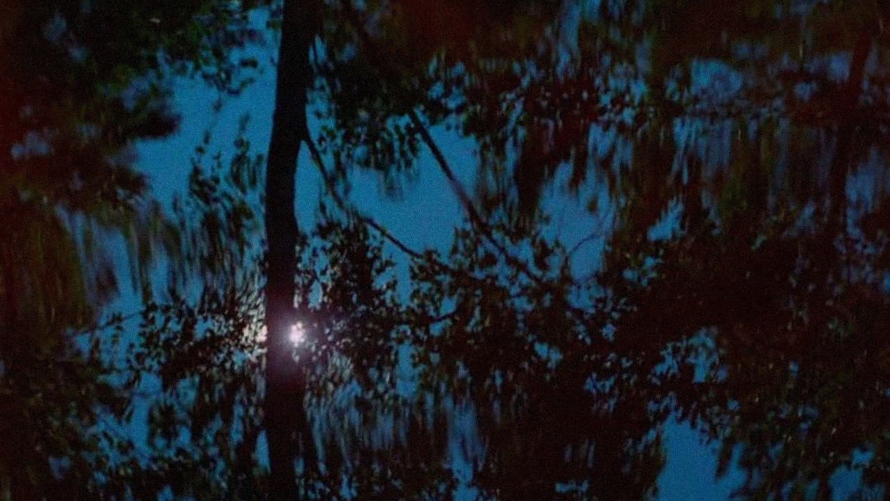 Backdrop for Väreitä