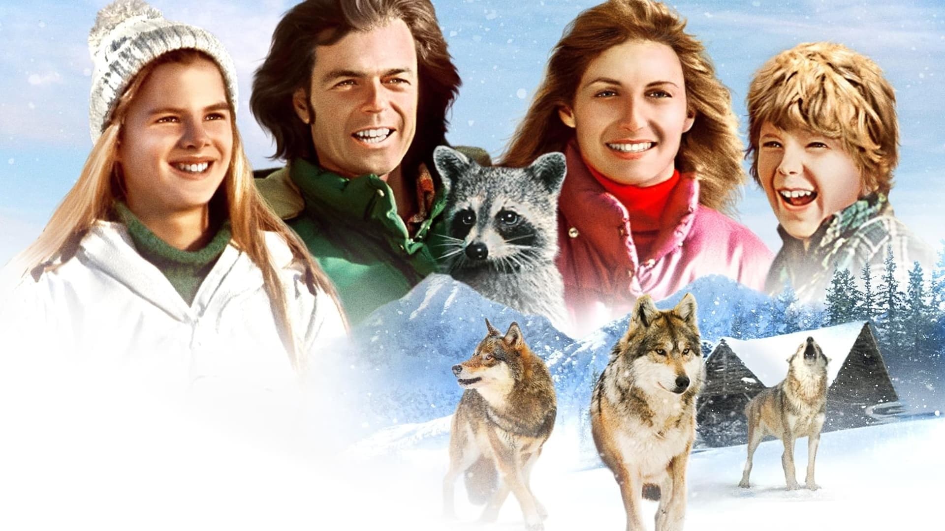 Backdrop for Adventures of the Wilderness Family 2