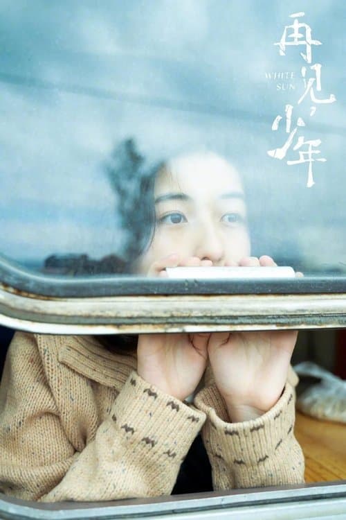 再见,少年
