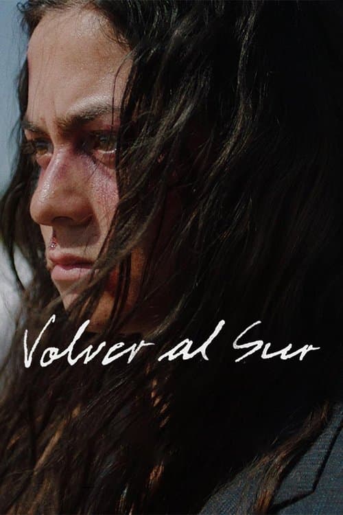 Volver al Sur