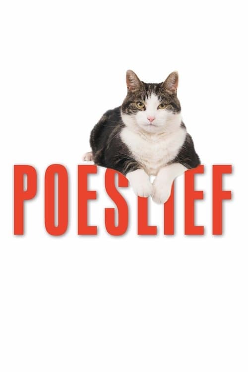 Poeslief: een ode aan de kat