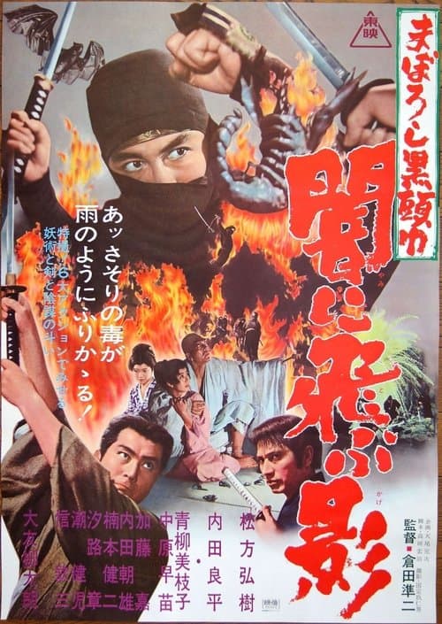まぼろし黒頭巾 闇に飛ぶ影