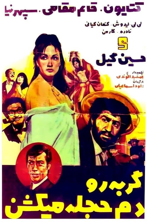 گربه را دم حجله میکشند